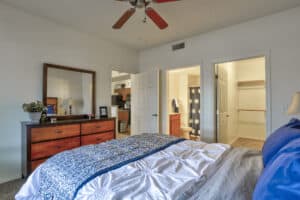 Bedroom with Walk-in Closet